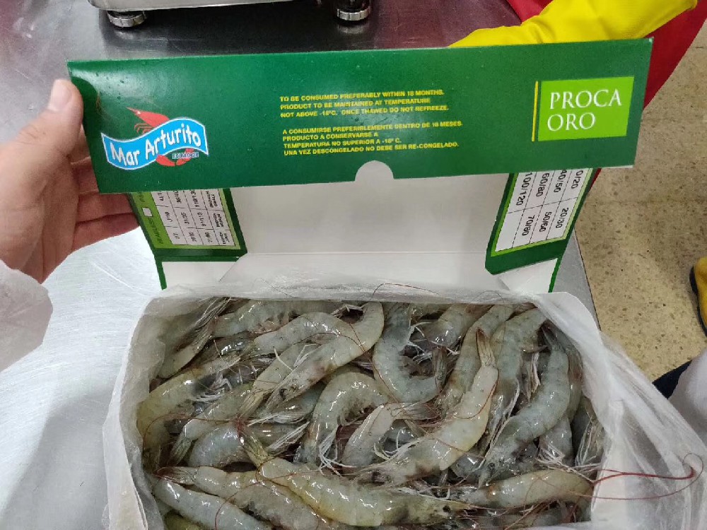 冷凍水產品進口報關代理公司產品圖